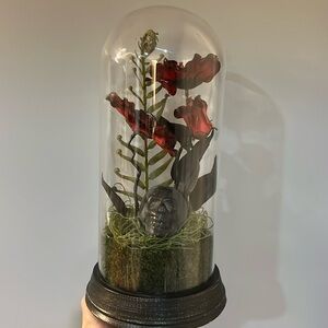 Roses flowers skull in glass Halloween decoration Plant Skull Cloche Terrarium